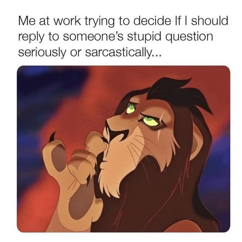 Me at work trying to decide If I should reply to someone's stupid question seriously or sarcastically...