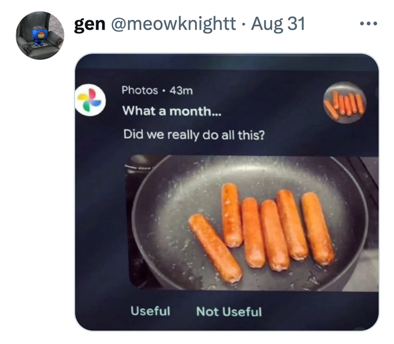 gen @meowknightt • Aug 31 Photos - 43m What a month... Did we really do all this? Useful Not Useful וות • • •