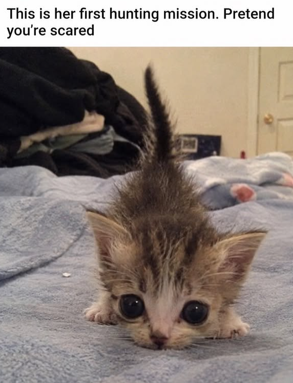 This is her first hunting mission. Pretend you're scared