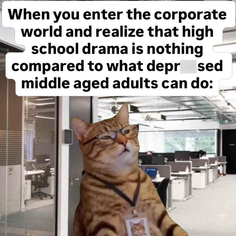 When you enter the corporate world and realize that high school drama is nothing compared to what depr sed middle aged adults can do: 21