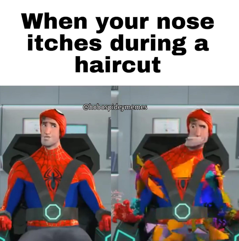 4 When your nose itches during a haircut @hobospideymemes