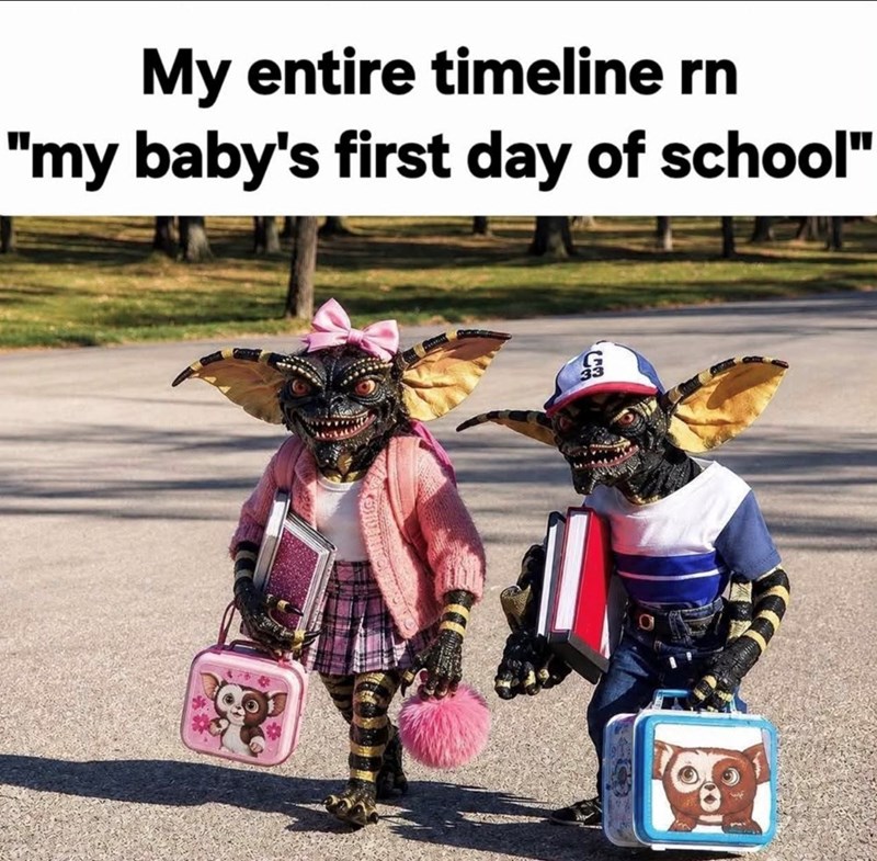 My entire timeline rn "my baby's first day of school"