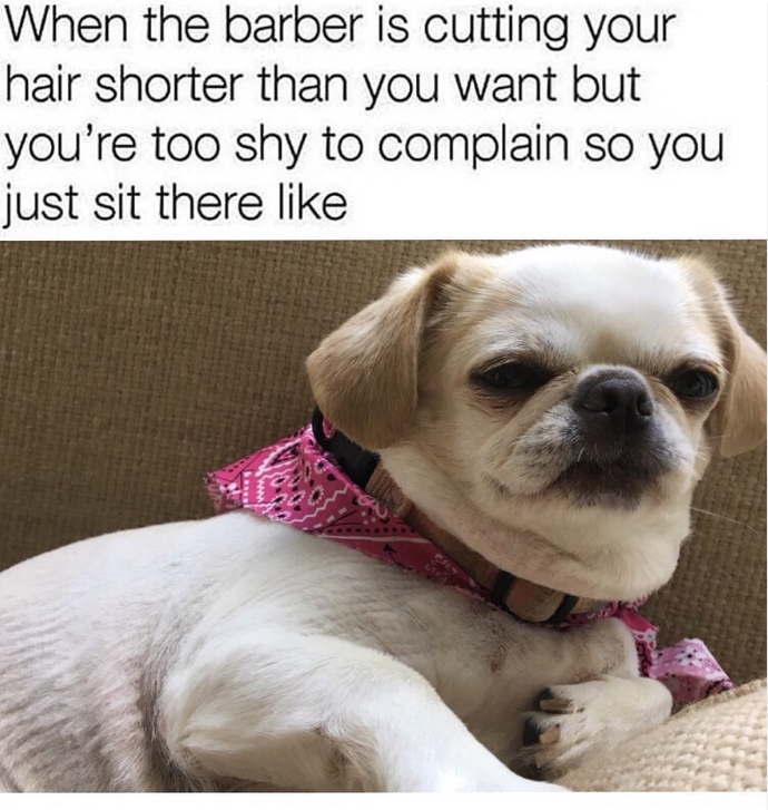 When the barber is cutting your hair shorter than you want but you're too shy to complain so you just sit there like