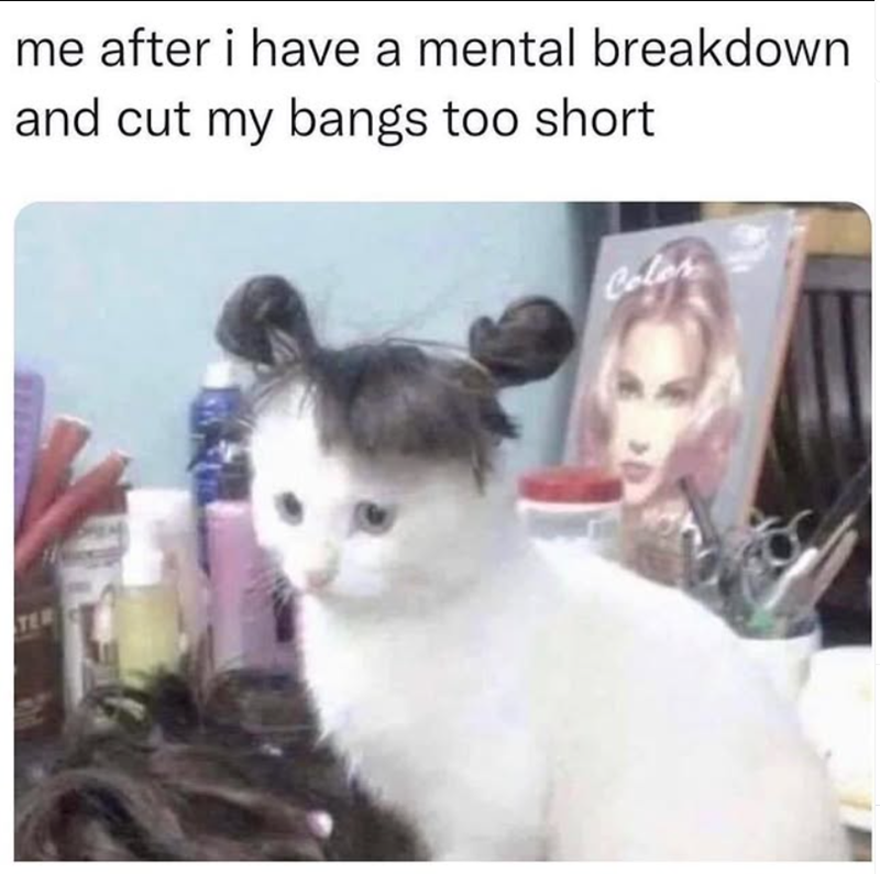 TER me after i have a mental breakdown and cut my bangs too short Color