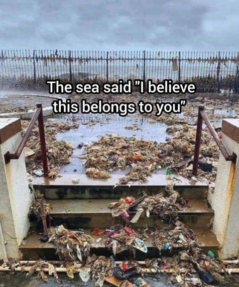 The sea said "I believe this belongs to you"
