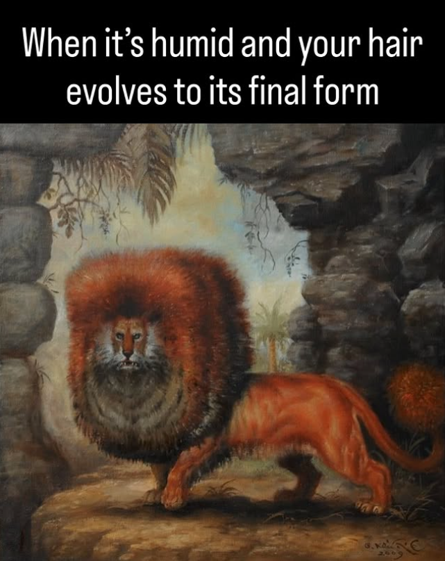When it's humid and your hair evolves to its final form 97