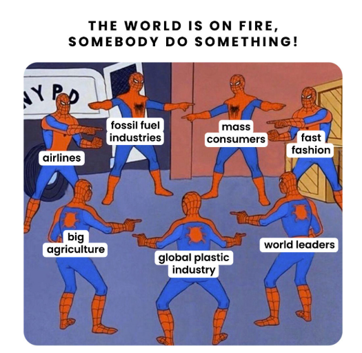 THE WORLD IS ON FIRE, SOMEBODY DO SOMETHING! NY PO airlines big agriculture fossil fuel industries mass consumers fast fashion world leaders global plastic industry