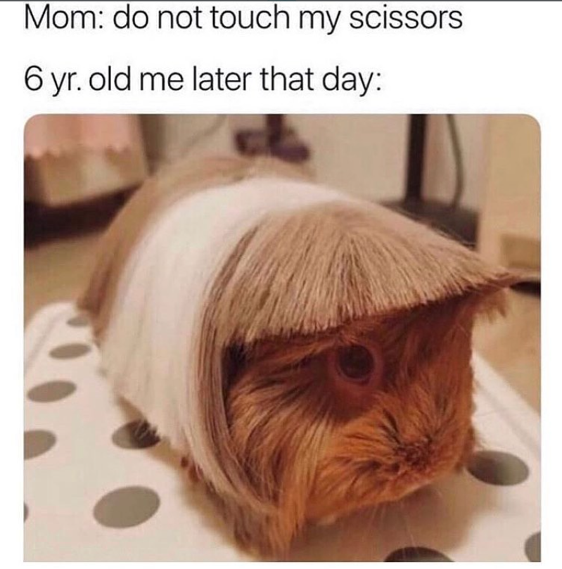 Mom: do not touch my scissors 6 yr. old me later that day: