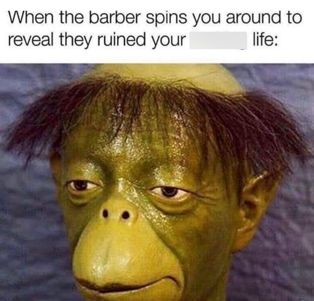 When the barber spins you around to reveal they ruined your life: