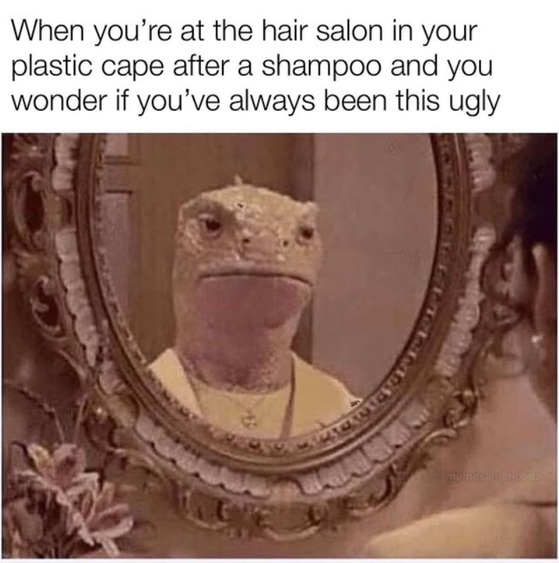 When you're at the hair salon in your plastic cape after a shampoo and you wonder if you've always been this ugly @memesandinoodz