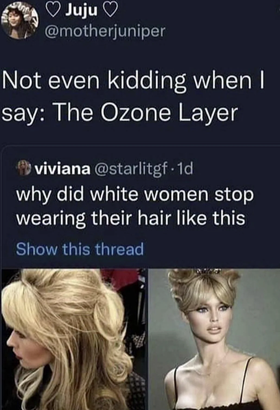 ♥ Juju @motherjuniper Not even kidding when I say: The Ozone Layer viviana @starlitgf. 1d why did white women stop wearing their hair like this Show this thread
