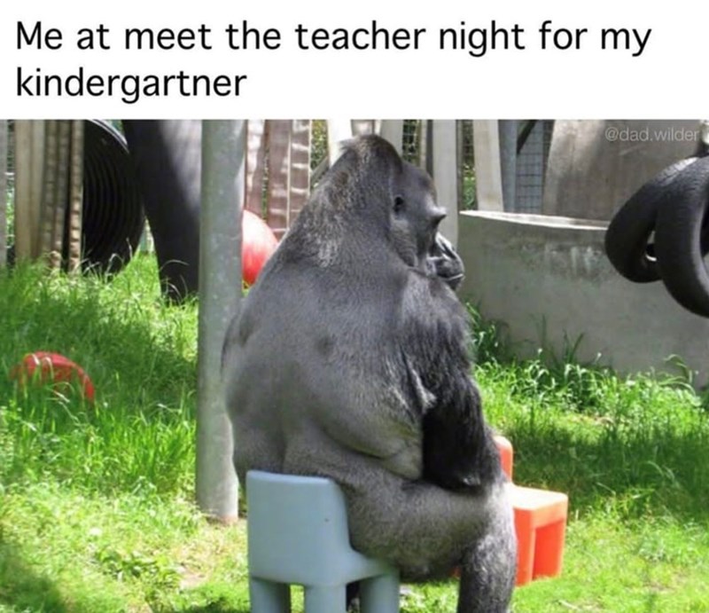 Me at meet the teacher night for my kindergartner @dad.wilder