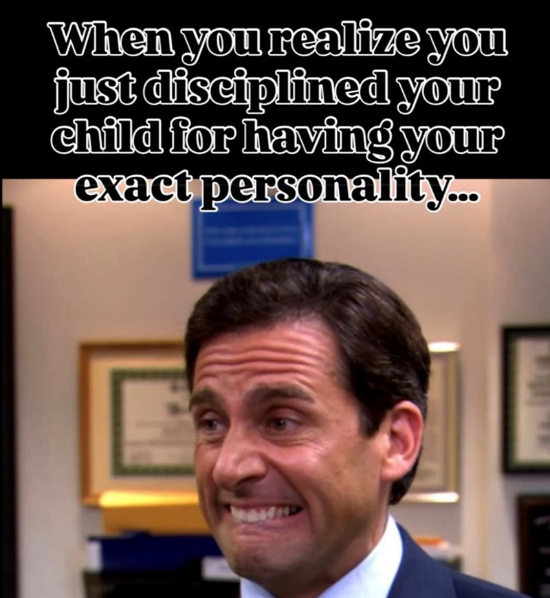 When you realize you just disciplined your child for having your exact personality...