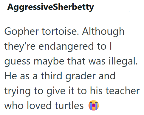 AggressiveSherbetty Gopher tortoise. Although they're endangered to I guess maybe that was illegal. He as a third grader and trying to give it to his teacher who loved turtles
