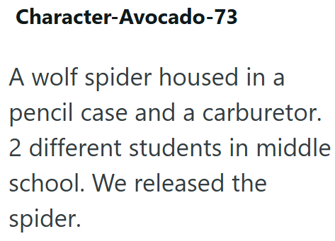 Character-Avocado-73 A wolf spider housed in a pencil case and a carburetor. 2 different students in middle school. We released the spider.