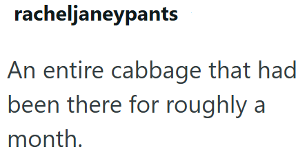 racheljaneypants An entire cabbage that had been there for roughly a month.
