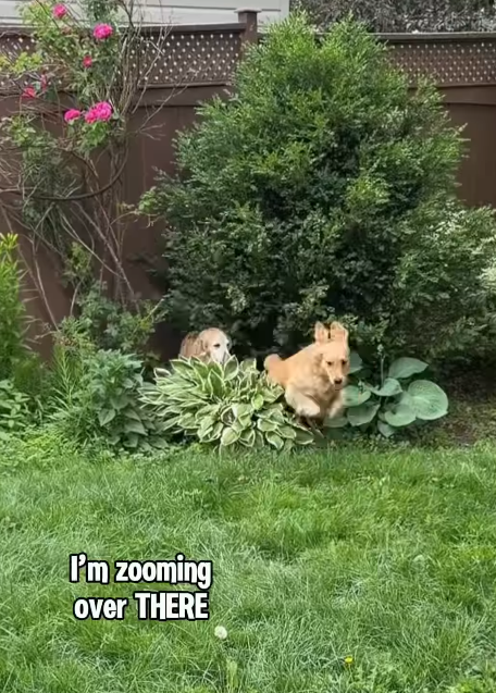 I'm zooming over THERE