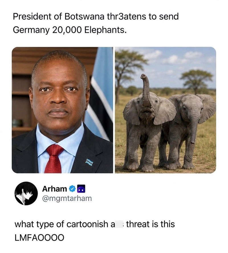 President of Botswana thr3atens to send Germany 20,000 Elephants. Arham @mgmtarham what type of cartoonish a threat is this LMFAOOOO