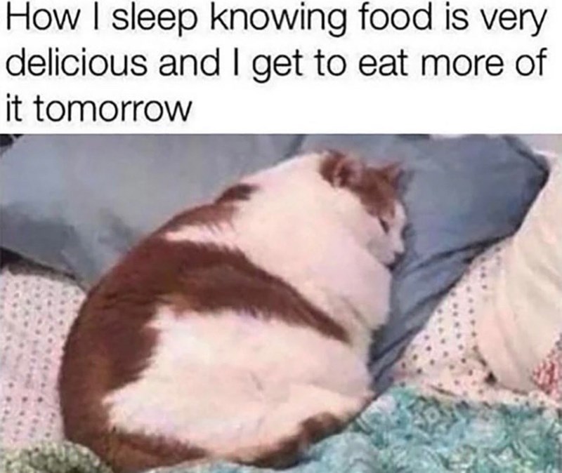 How I sleep knowing food is very delicious and I get to eat more of it tomorrow