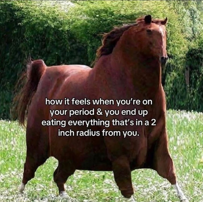 how it feels when you're on your period & you end up eating everything that's in a 2 inch radius from you.
