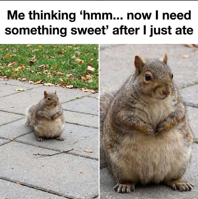 Me thinking 'hmm... now I need something sweet' after I just ate