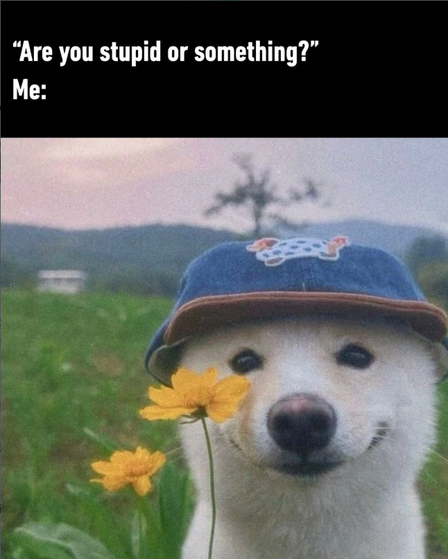 "Are you stupid or something?” Me: