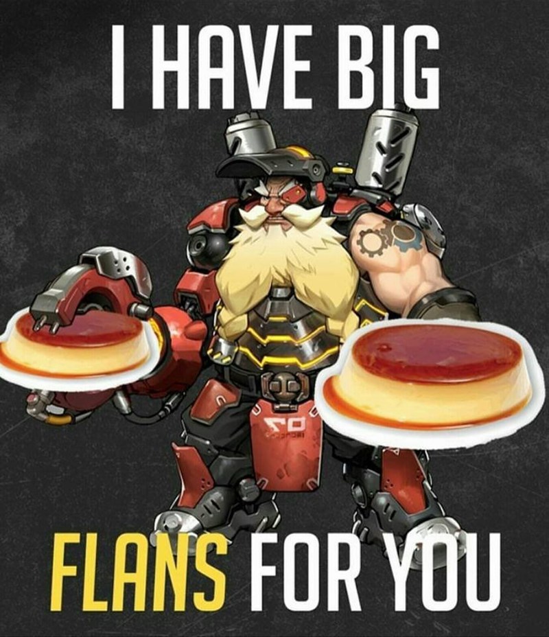 I HAVE BIG FLANS FOR YOU