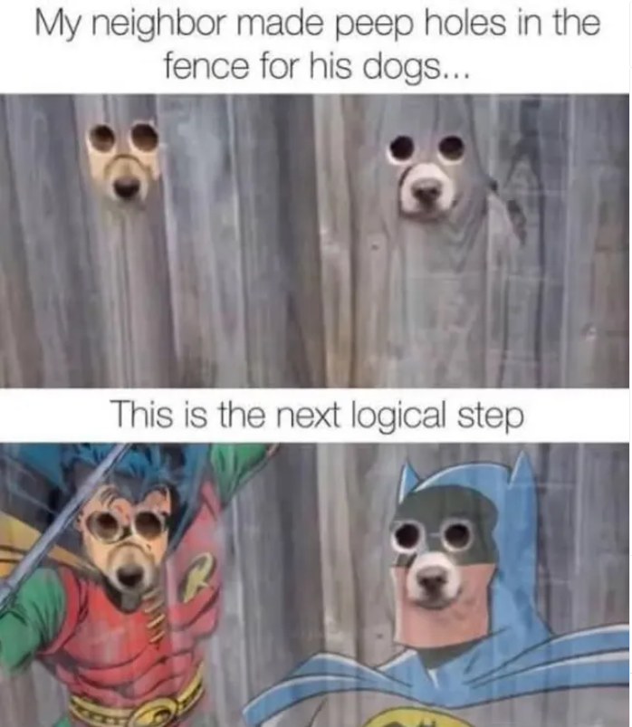 My neighbor made peep holes in the fence for his dogs... This is the next logical step