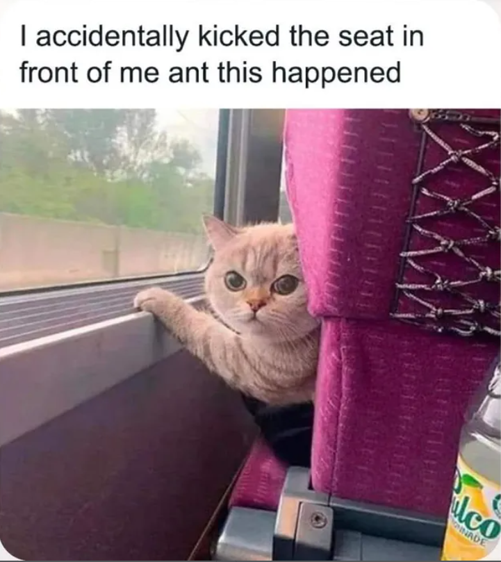 I accidentally kicked the seat in front of me ant this happened alco NADE