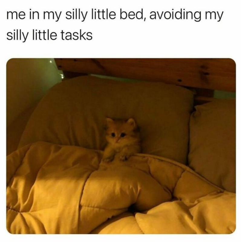 me in my silly little bed, avoiding my silly little tasks