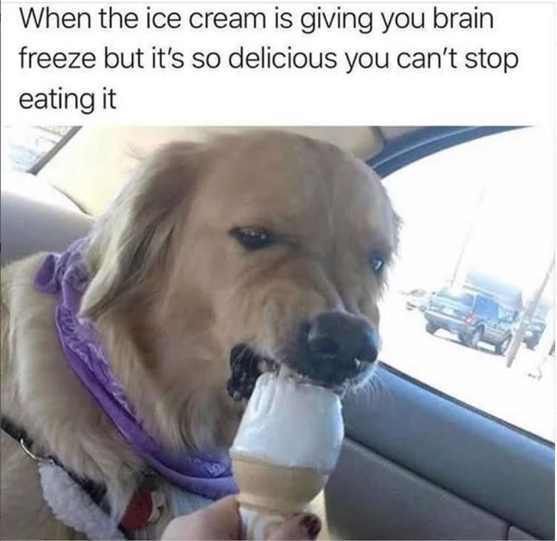 When the ice cream is giving you brain freeze but it's so delicious you can't stop eating it