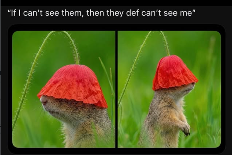 "If I can't see them, then they def can't see me"