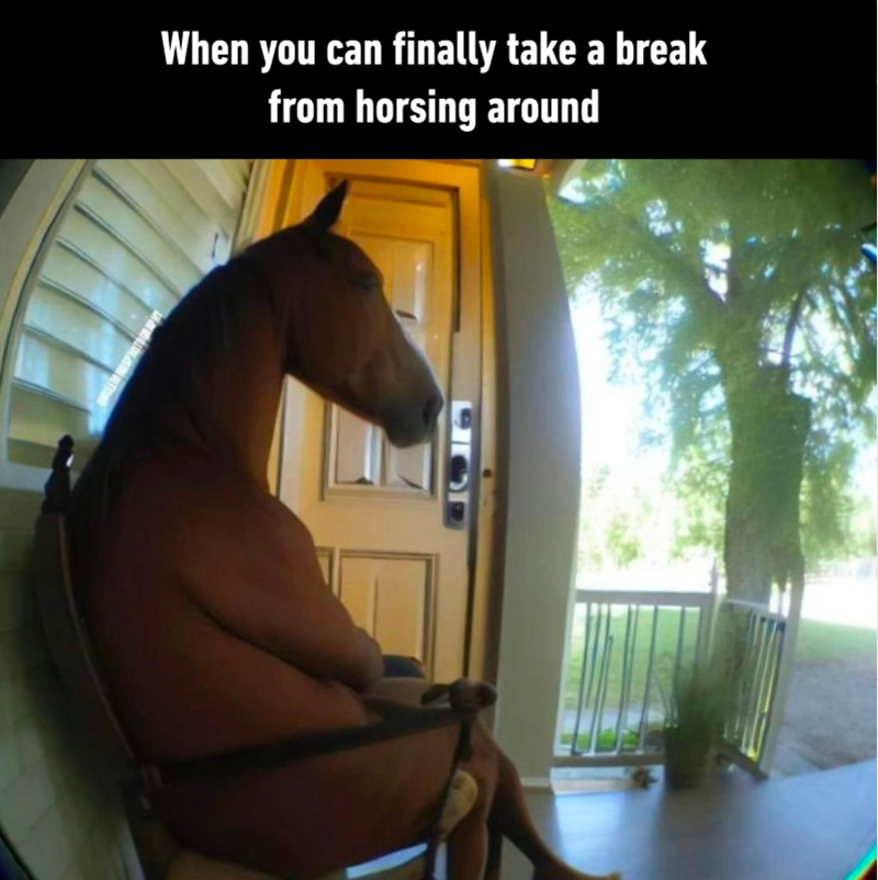 When you can finally take a break from horsing around