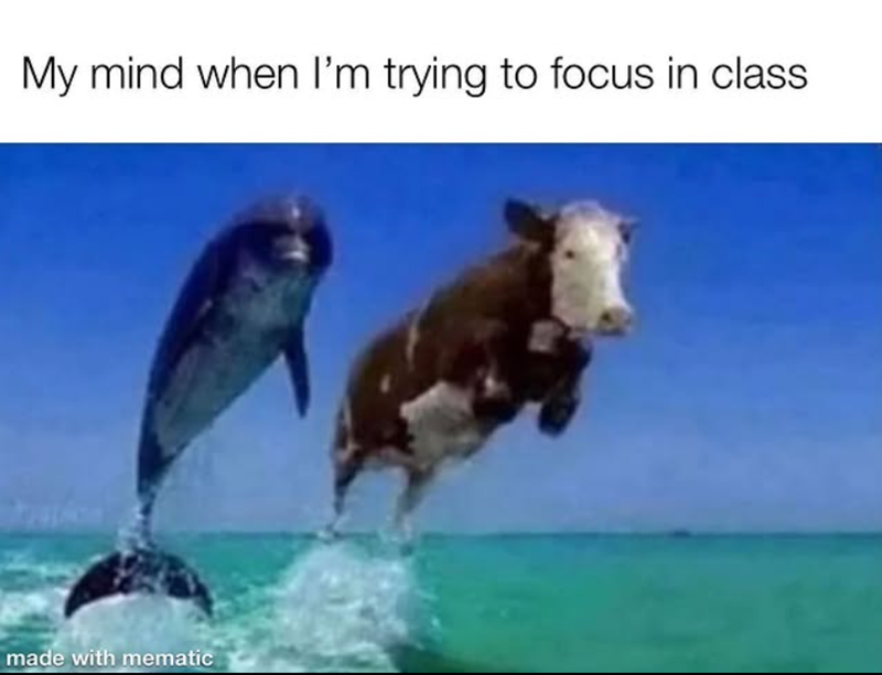 My mind when I'm trying to focus in class made with mematic