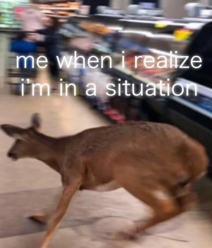 me when i realize I'm in a situation