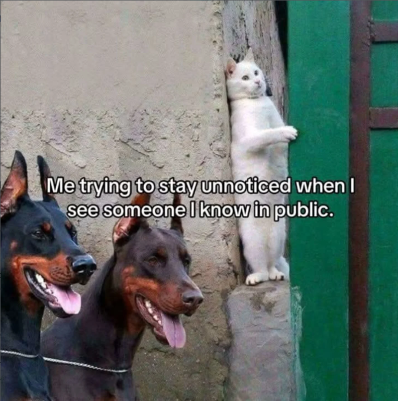 Me trying to stay unnoticed when I see someone I know in public.