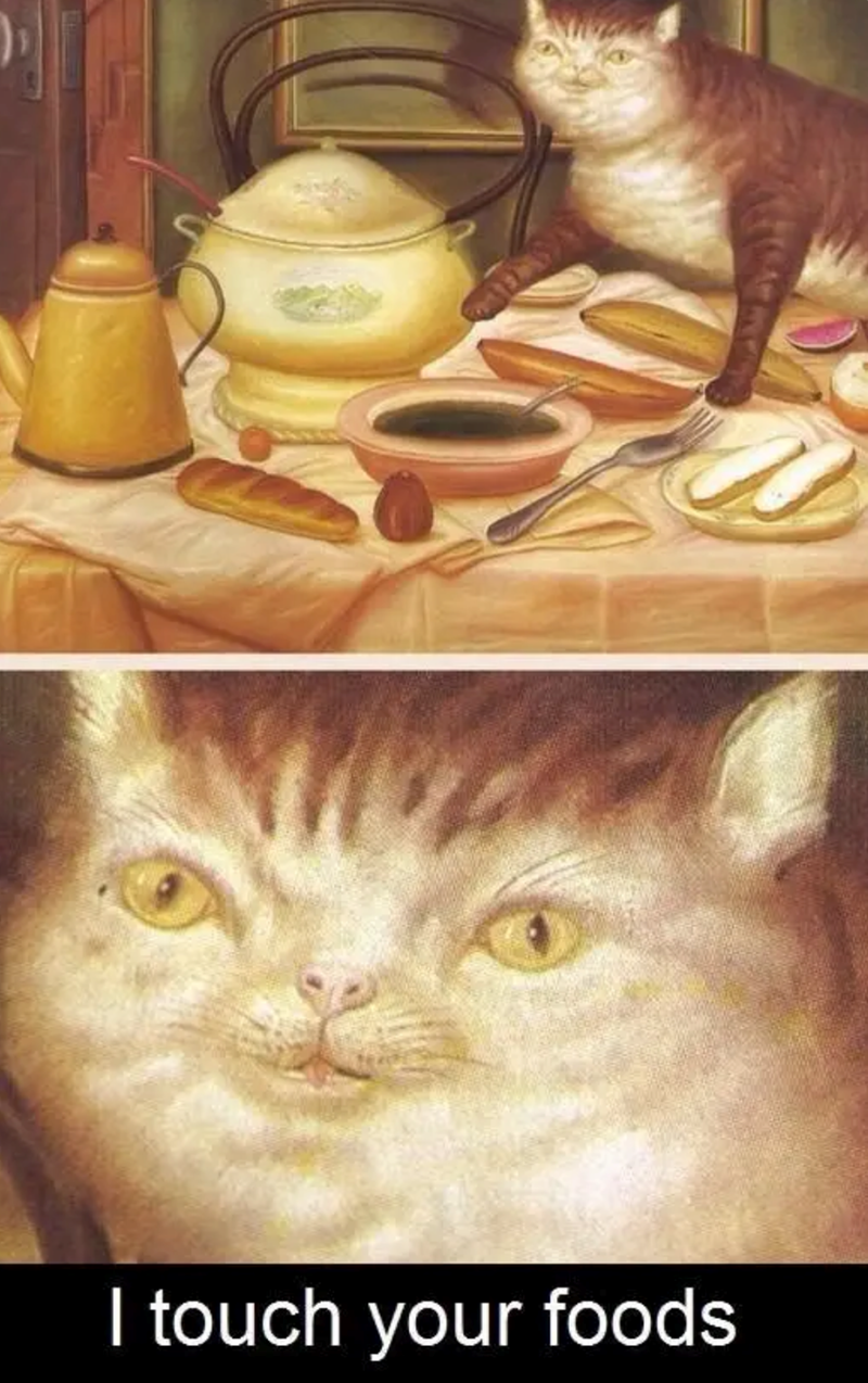 I touch your foods