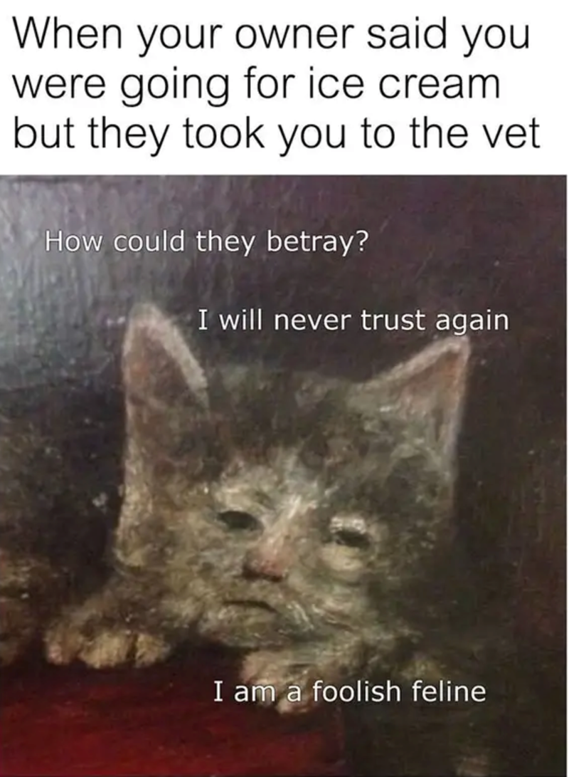 When your owner said you were going for ice cream but they took you to the vet How could they betray? I will never trust again I am a foolish feline