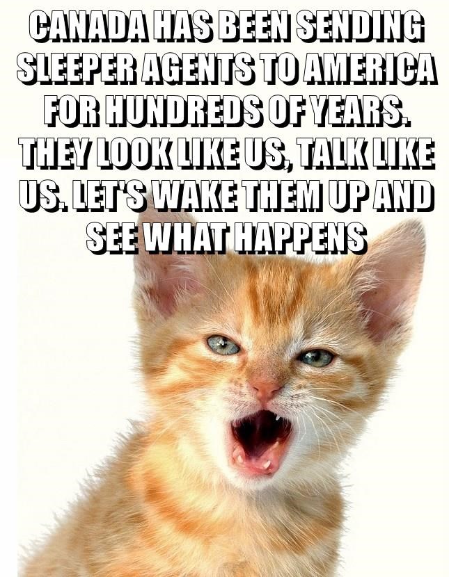 CANADA HAS BEEN SENDING SLEEPER AGENTS TO AMERICA FOR HUNDREDS OF YEARS. THEY LOOK LIKE US, TALK LIKE US. LET'S WAKE THEM UP AND SEE WHAT HAPPENS