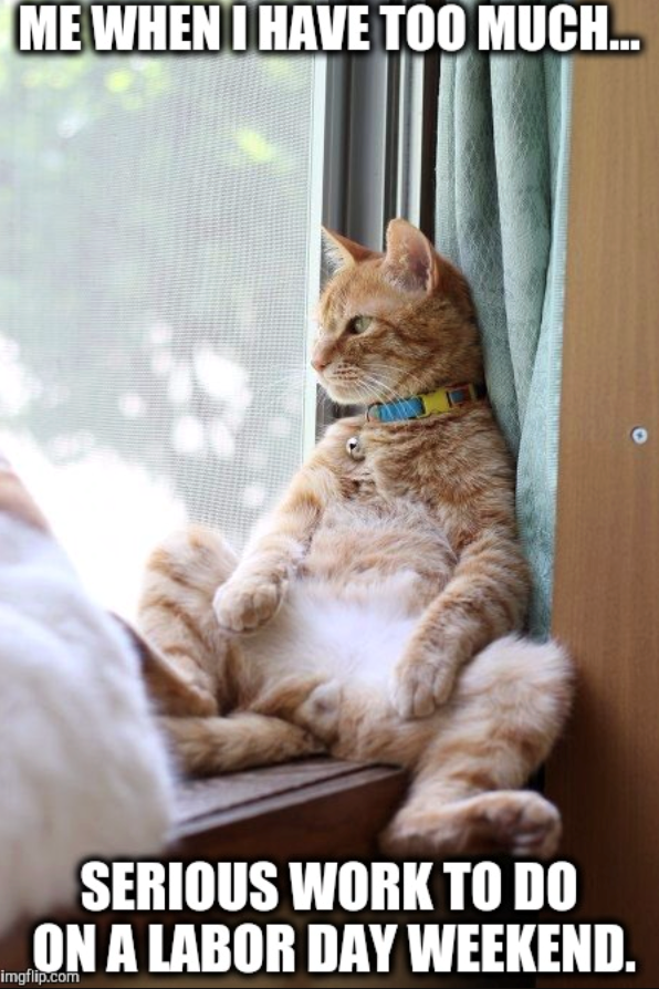 ME WHEN I HAVE TOO MUCH... SERIOUS WORK TO DO ON A LABOR DAY WEEKEND. imgflip.com