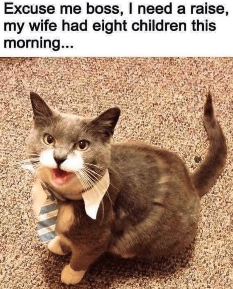 Excuse me boss, I need a raise, my wife had eight children this morning...