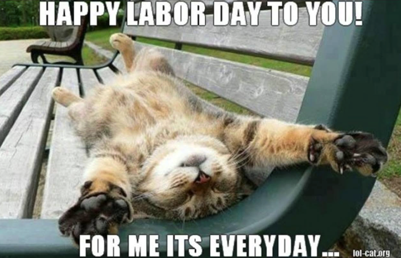 HAPPY LABOR DAY TO YOU! FOR ME ITS EVERYDAY... lol-cat.org