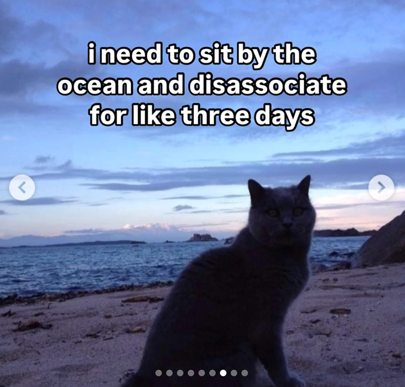 < i need to sit by the ocean and disassociate for like three days