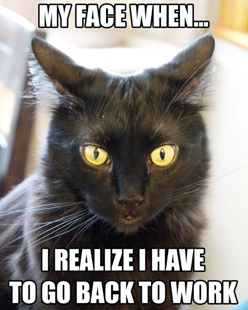 MY FACE WHEN... I REALIZE I HAVE TO GO BACK TO WORK