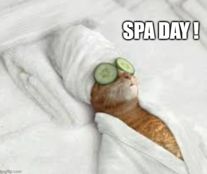 imgflip.com SPA DAY!
