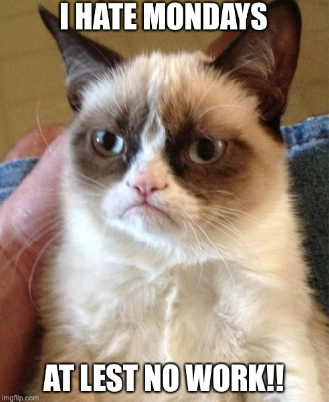 imgflip.com I HATE MONDAYS AT LEST NO WORK!!