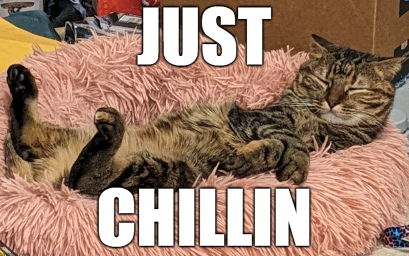 JUST CHILLIN