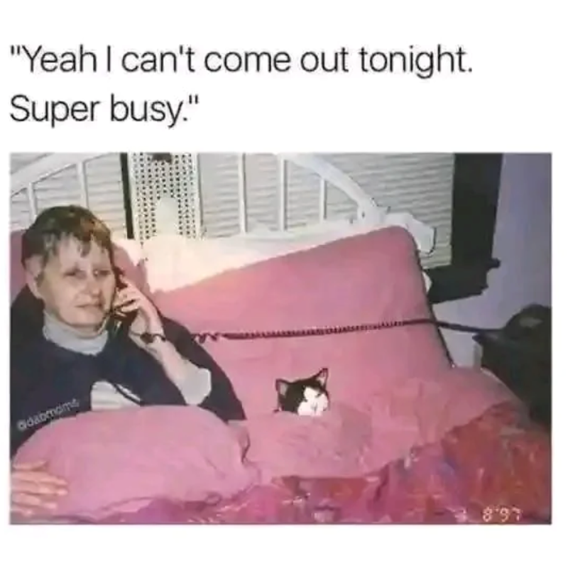 "Yeah I can't come out tonight. Super busy." adabmome