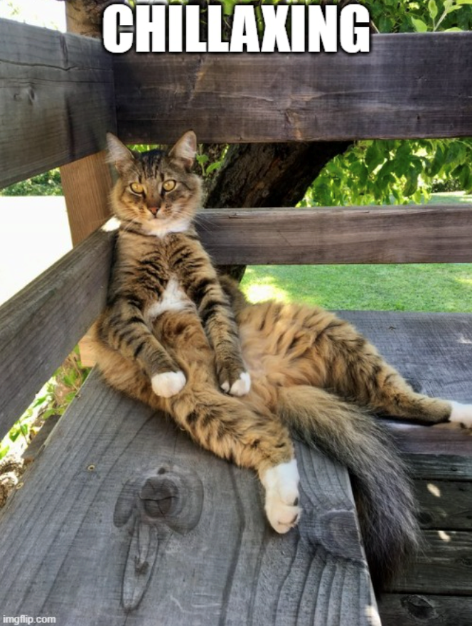 imgflip.com CHILLAXING