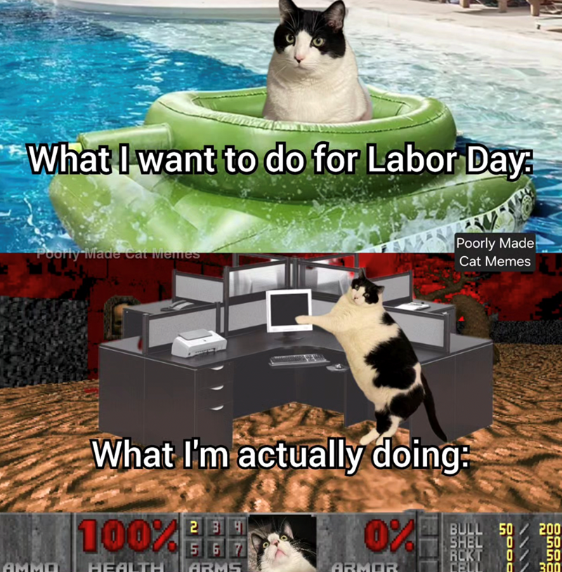 What I want to do for Labor Day Poorly Made Cat Memes Poorly Made Cat Memes What I'm actually doing: 100% FEE 0% BULL 50 SHEL AMMO HEALTH ARMS ARMOR RCKT CELL 567 200 0 50 0/50 П 300